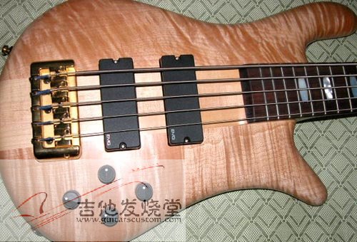 spector ns-5crfm.jpg